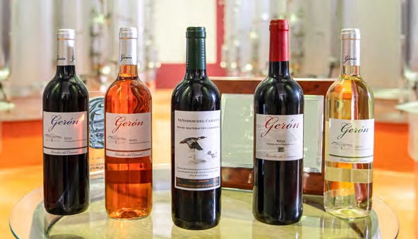 J.Vinedos-del-Carmen