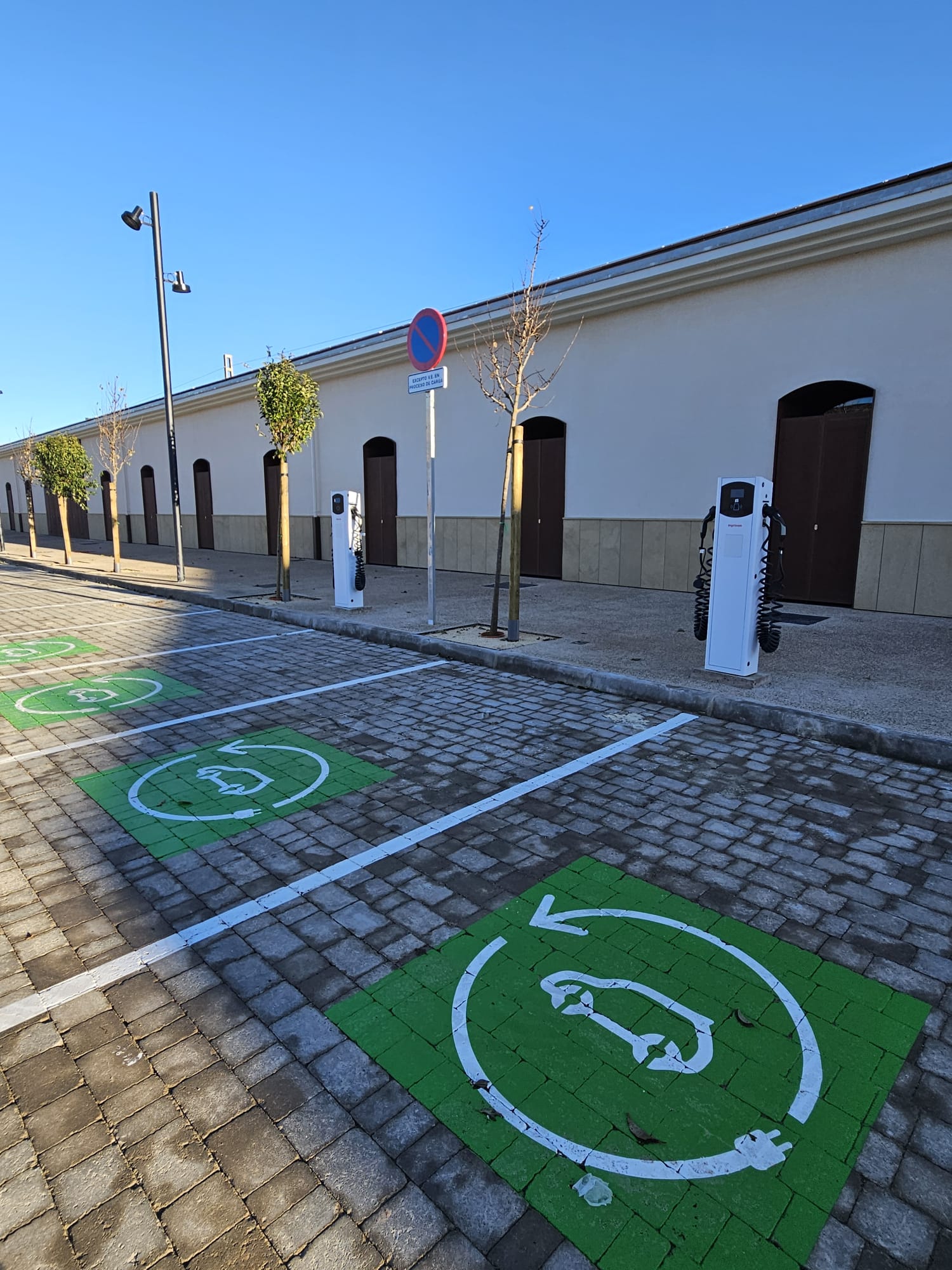 WhatsApp Image 2026-01-08 at 16.16.19