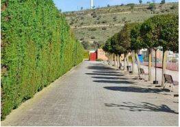 rutas