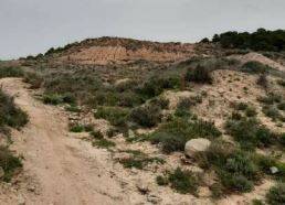 rutas