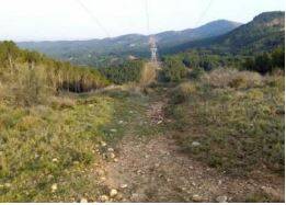 rutas